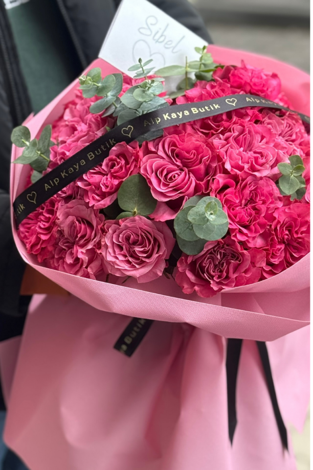 Pink Shımmer Ekvator Gülleri